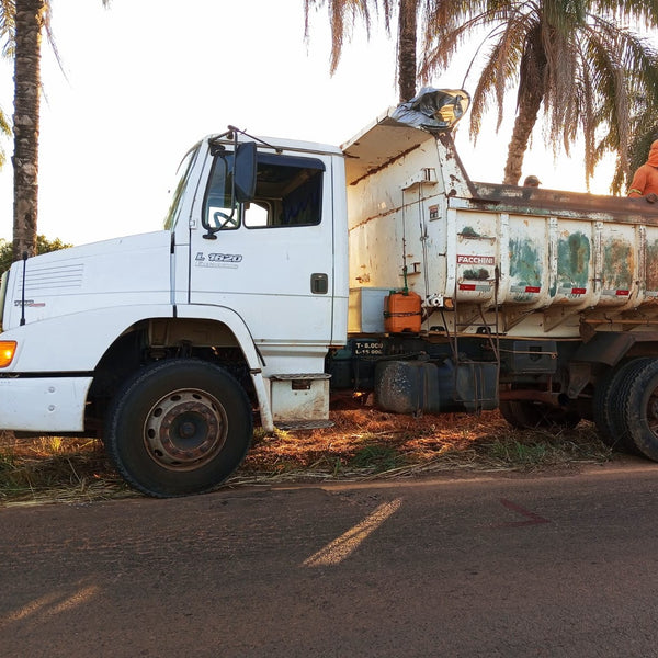 CAMINHAO BASCULANTE L1620